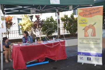 I Feria de Participación Ciudadana y del Voluntariado de Telde (Foto TA)